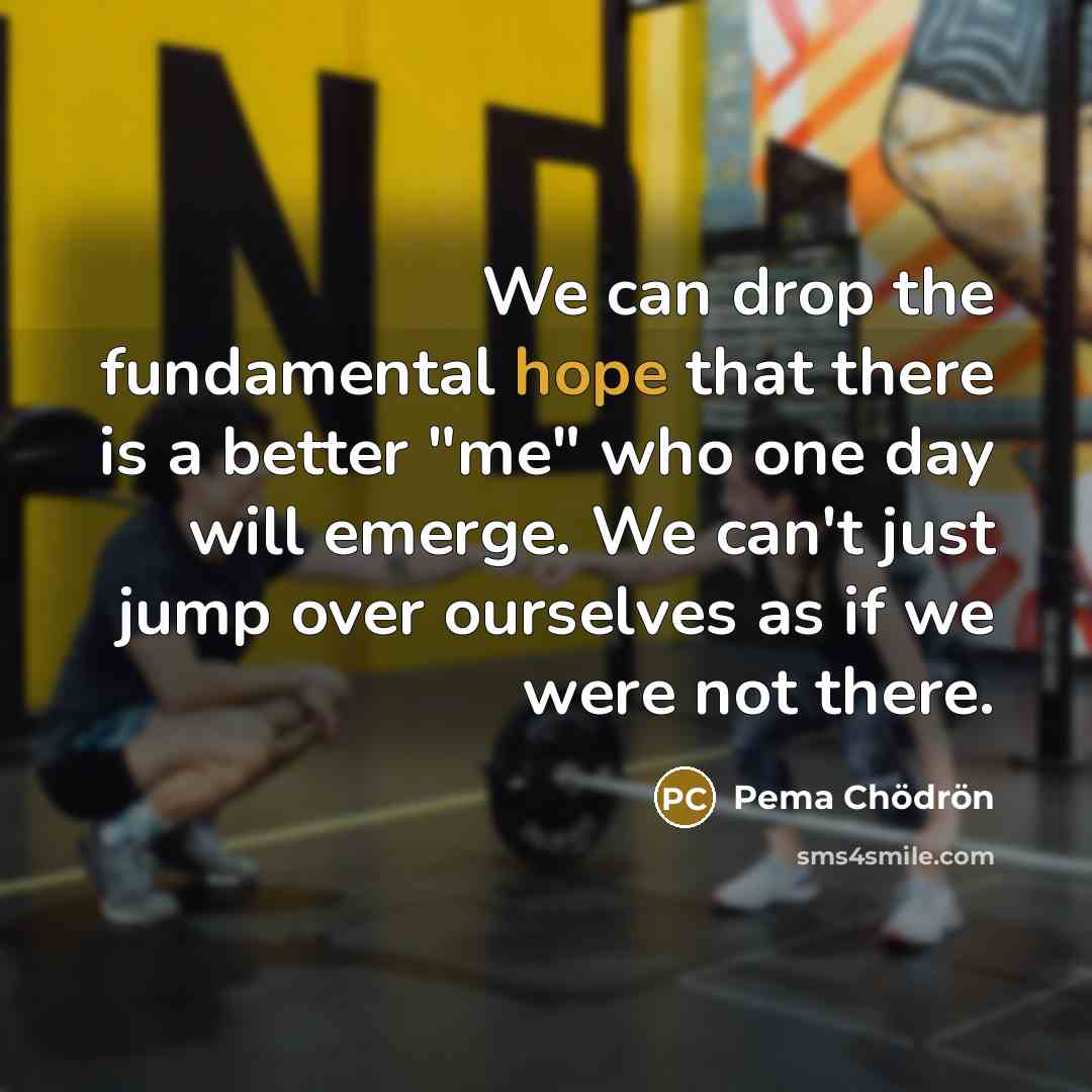 “We can drop the fundamental hope that there is a…” quote by Pema Chodron