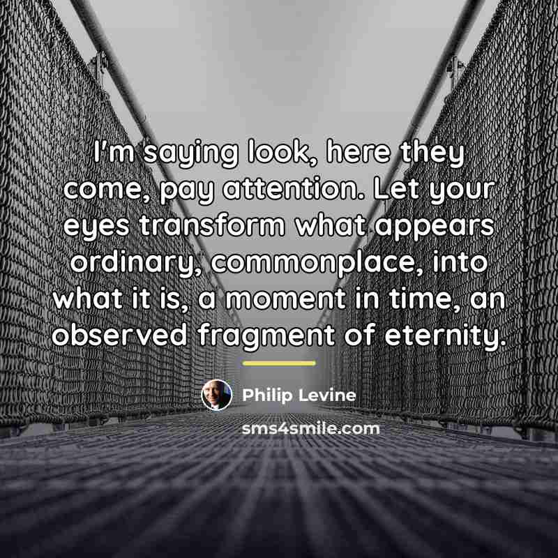 “I'm saying look, here they come, pay attention. Let your…” quote by Philip Levine