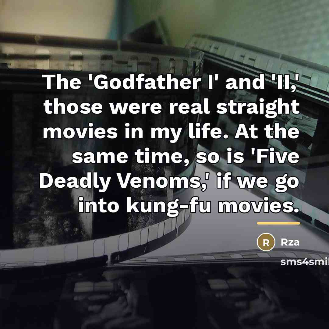 “The 'Godfather I' and 'II,' those were real straight movies…” quote by Rza
