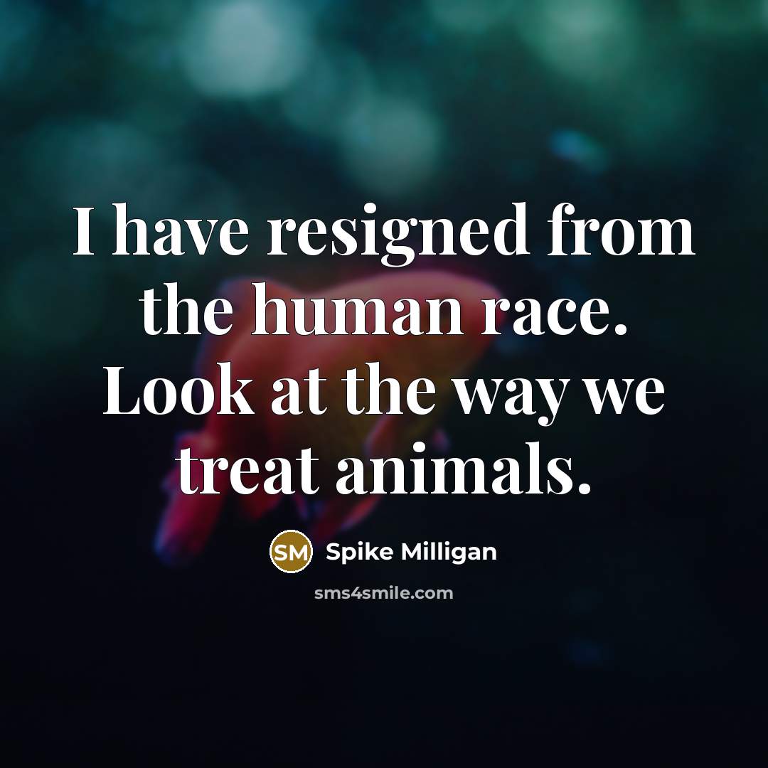 “I have resigned from the human race. Look at the…” quote by Spike Milligan