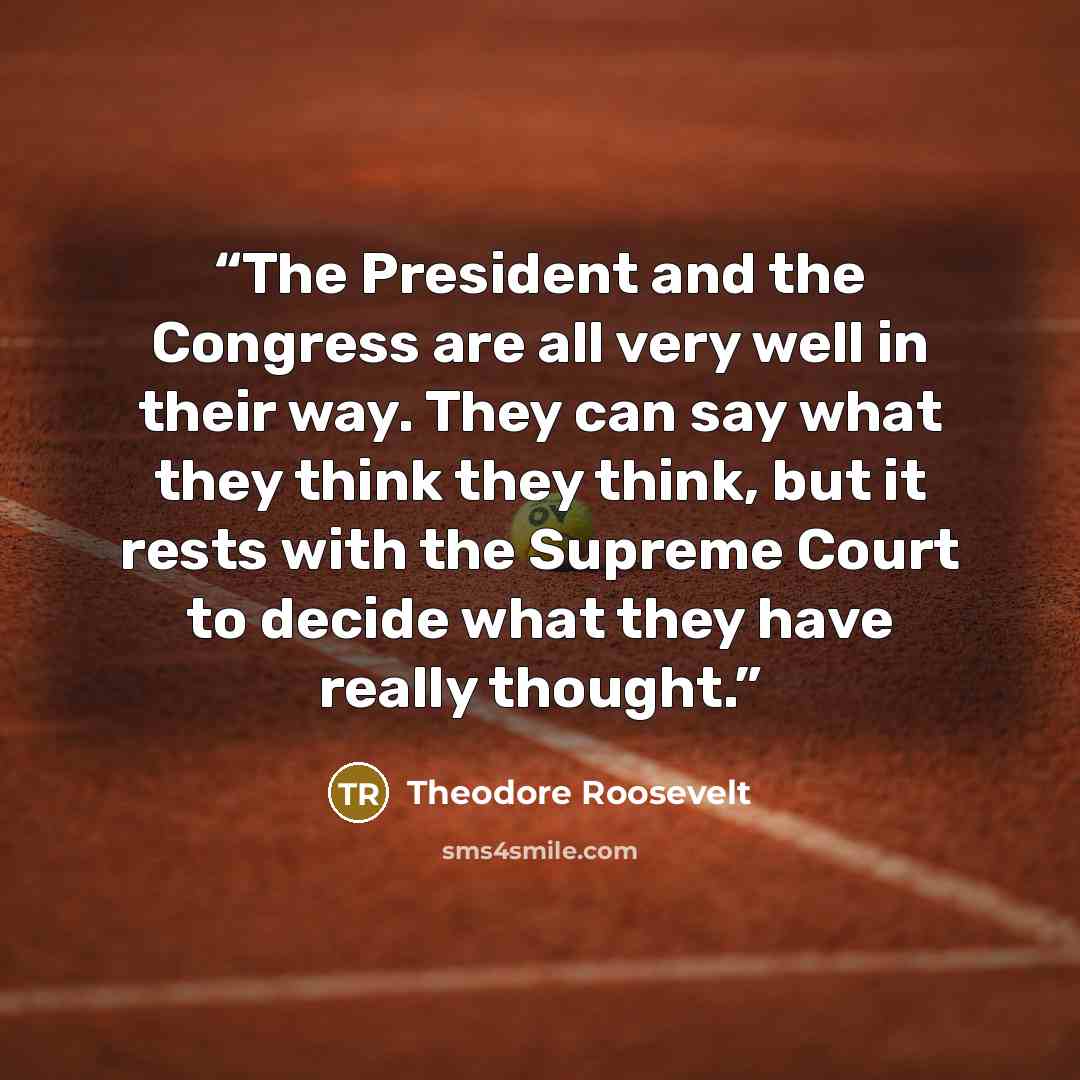 “The President and the Congress are all very well in their way. They can say what they think they think, but it rests with the Supreme Court to decide what they have really thought.” quote by Theodore Roosevelt