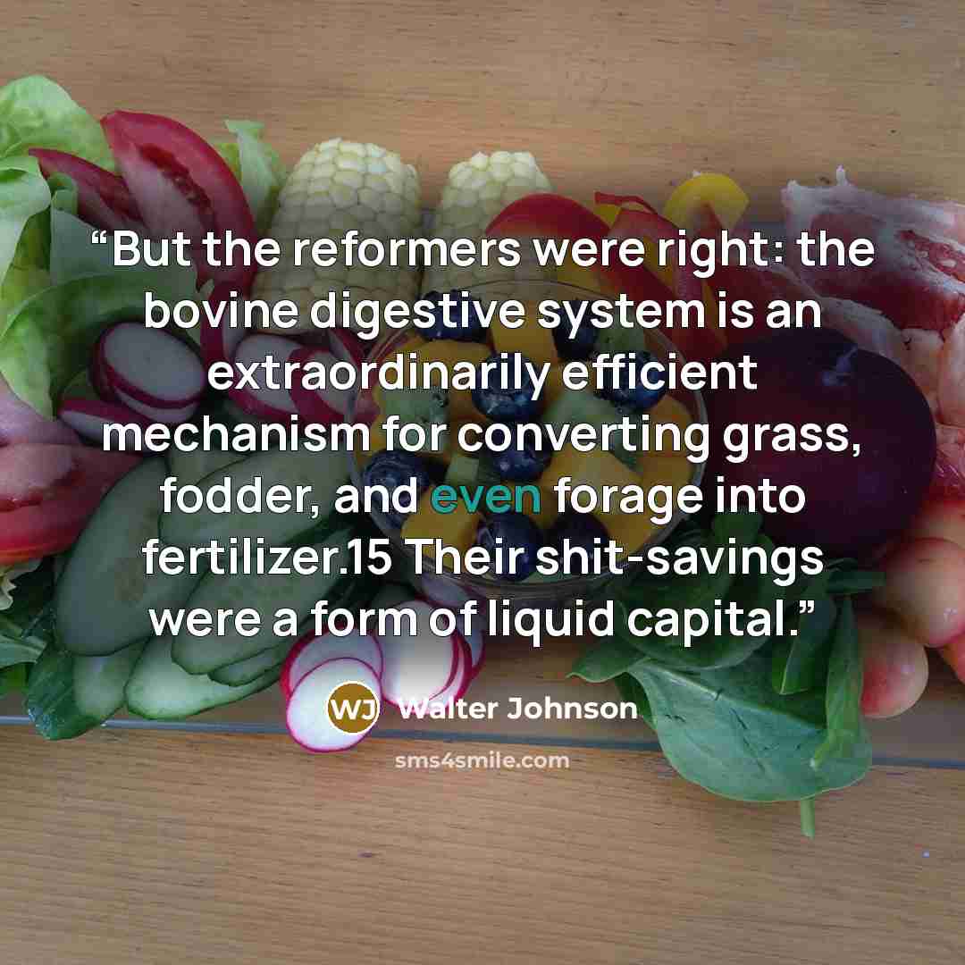 “But the reformers were right: the bovine digestive system is an extraordinarily efficient mechanism for converting grass, fodder, and even forage into fertilizer.15 Their shit-savings were a form of liquid capital.” quote by Walter Johnson