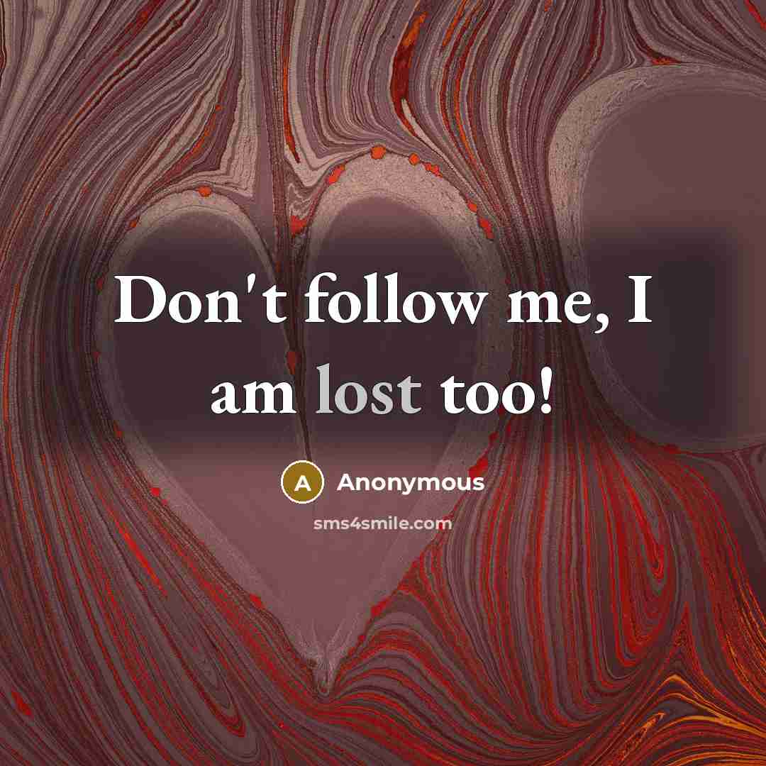 “Don't follow me, I am lost too!” quote by Anonymous