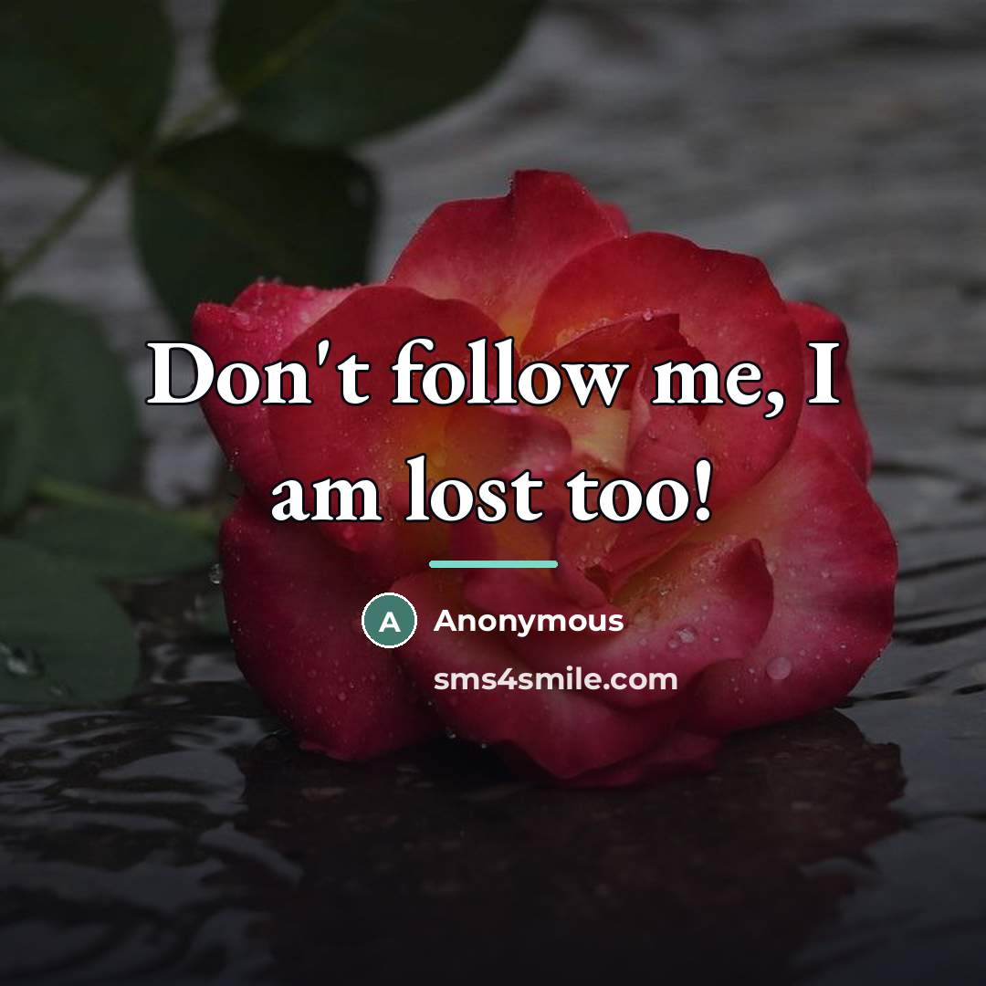 “Don't follow me, I am lost too!…” quote by Anonymous