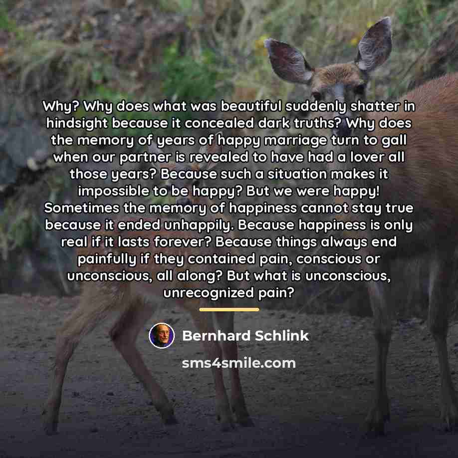 “Why? Why does what was beautiful suddenly shatter in hindsight…” quote by Bernhard Schlink