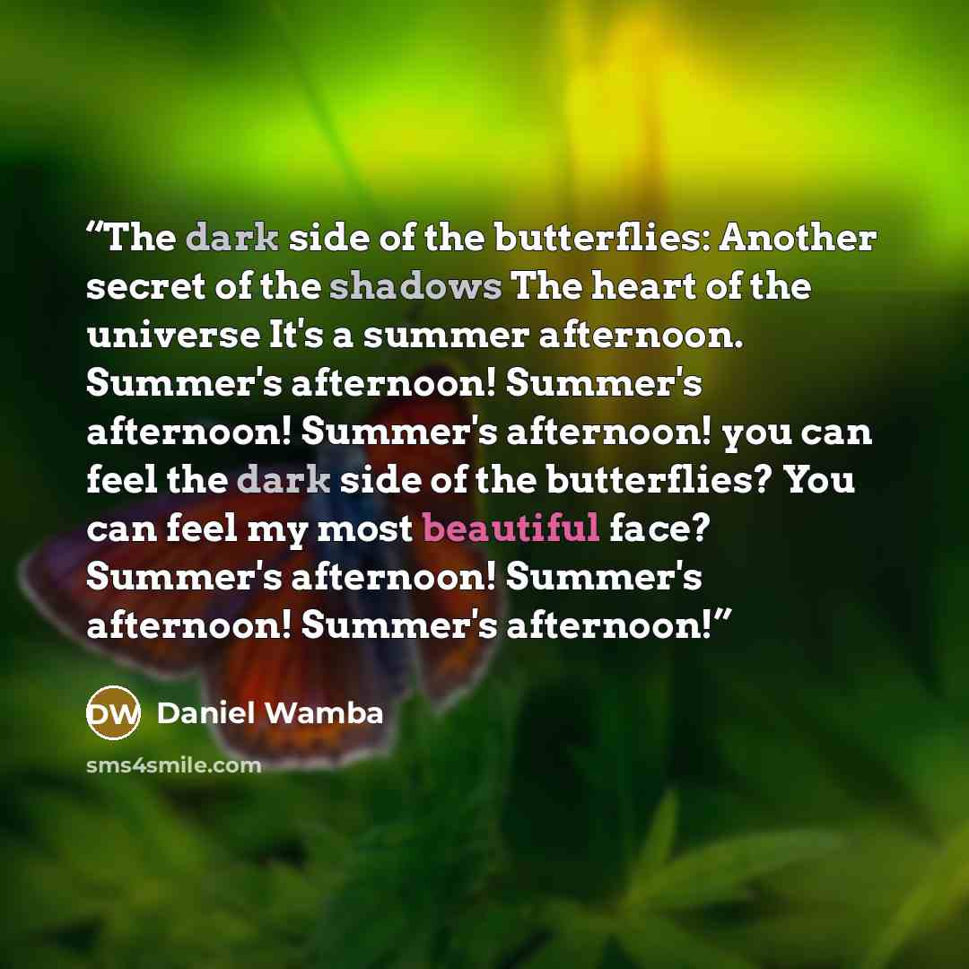 “The dark side of the butterflies: Another secret of the shadows The heart of the universe It's a summer afternoon. Summer's afternoon! Summer's afternoon! Summer's afternoon! you can feel the dark side of the butterflies? You can feel my most beautiful face? Summer's afternoon! Summer's afternoon!…” quote by Daniel Wamba