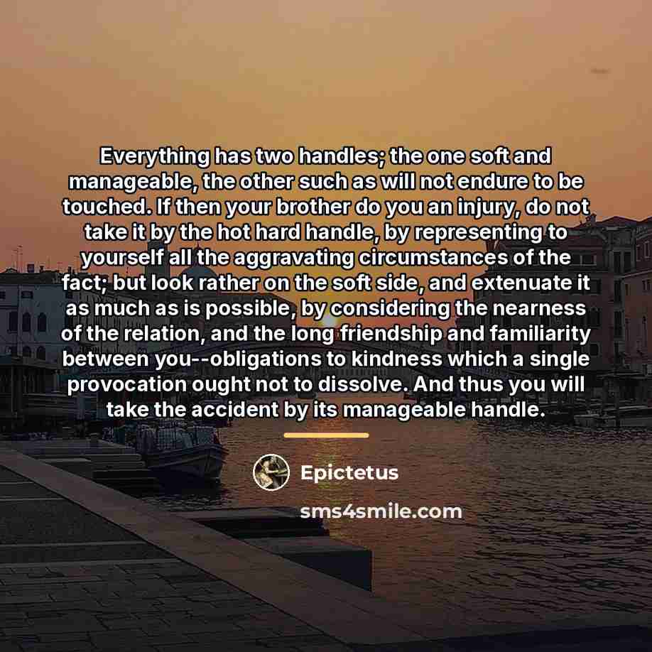 “Everything has two handles; the one soft and manageable, the…” quote by Epictetus