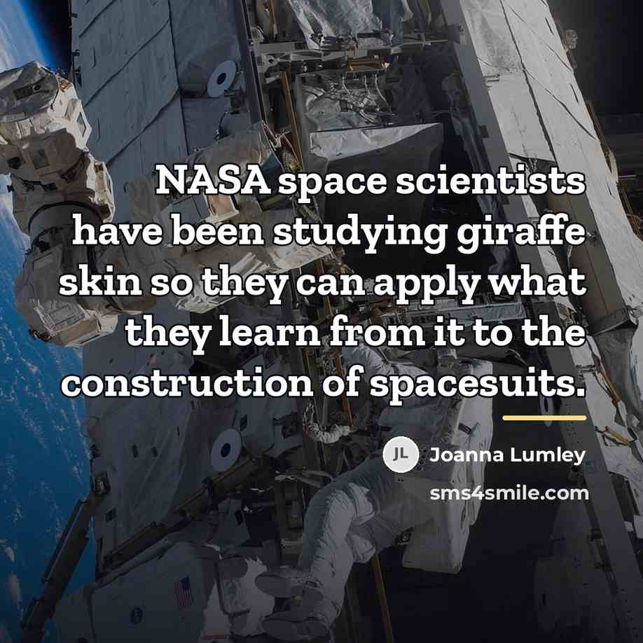 “NASA space scientists have been studying giraffe skin so they…” quote by Joanna Lumley
