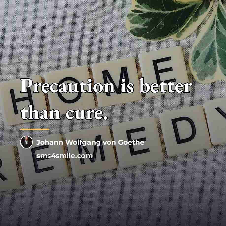 “Precaution is better than cure.…” quote by Johann Wolfgang von Goethe