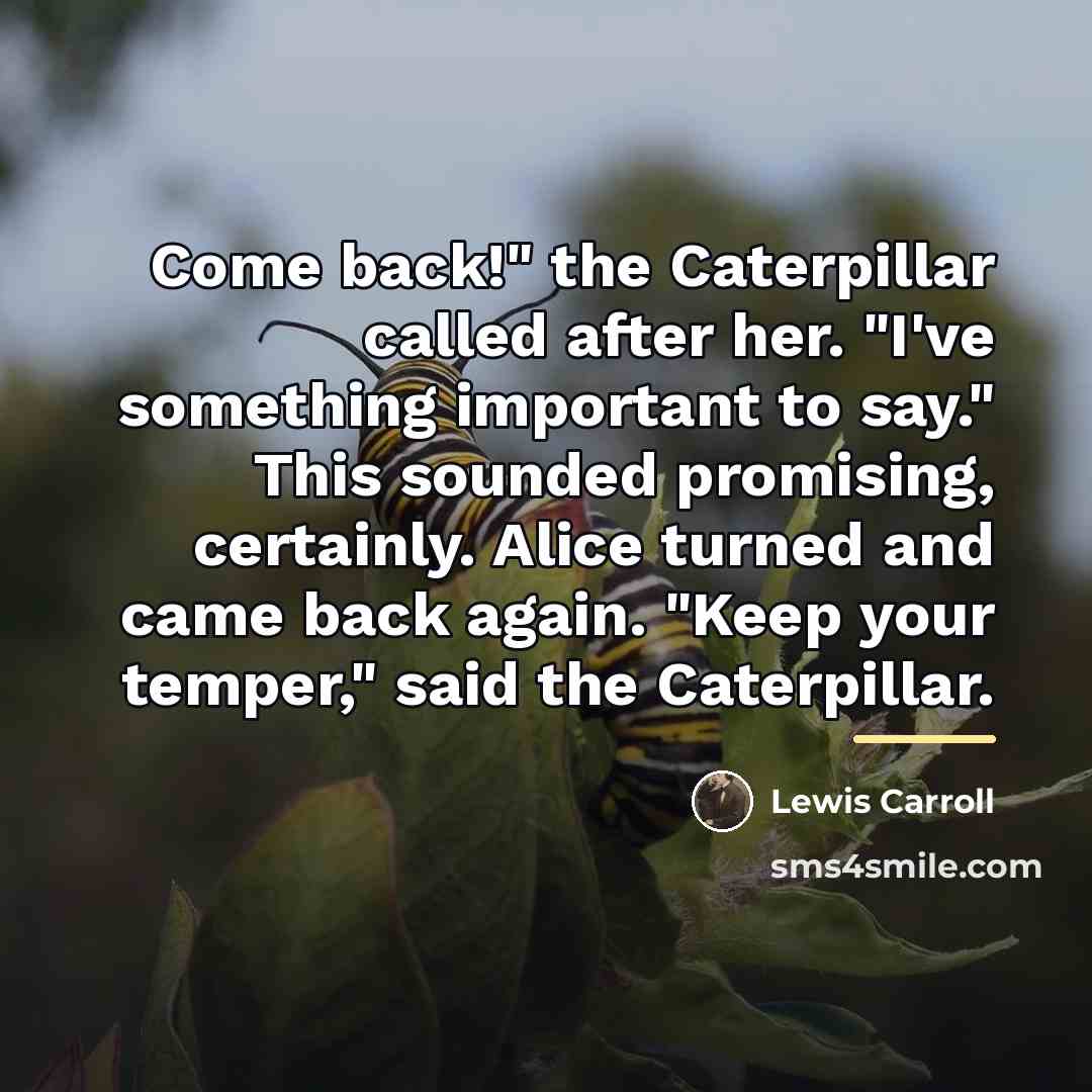 “Come back!" the Caterpillar called after her. "I've something important…” quote by Lewis Carroll