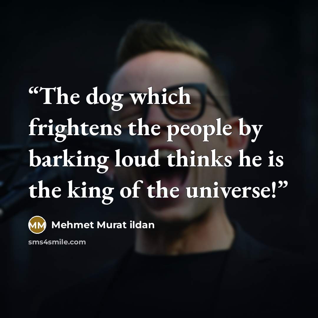 “The dog which frightens the people by barking loud thinks he is the king of the universe!” quote by Mehmet Murat ildan