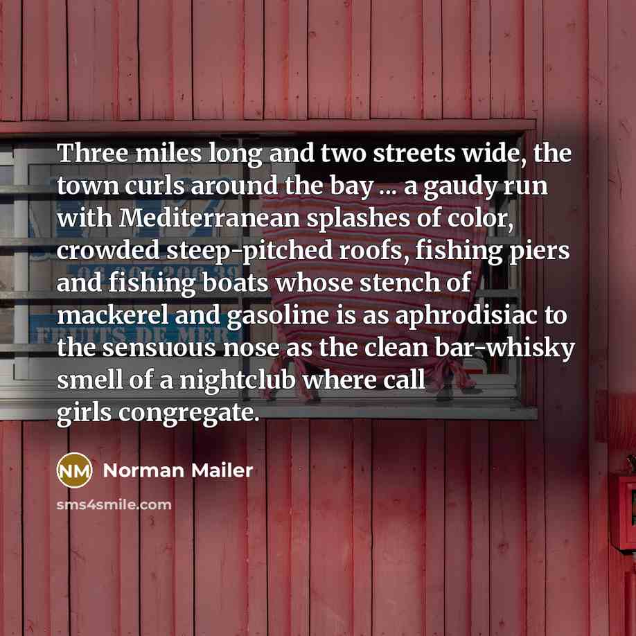 “Three miles long and two streets wide, the town curls…” quote by Norman Mailer