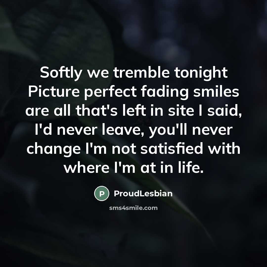 “Softly we tremble tonight Picture perfect fading smiles are all that's left in site I said, I'd never leave, you'll never change I'm not satisfied with where I'm at in life.” quote by ProudLesbian