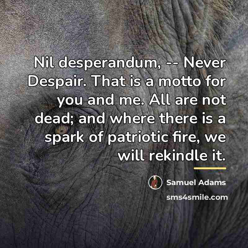 “Nil desperandum, -- Never Despair. That is a motto for…” quote by Samuel Adams