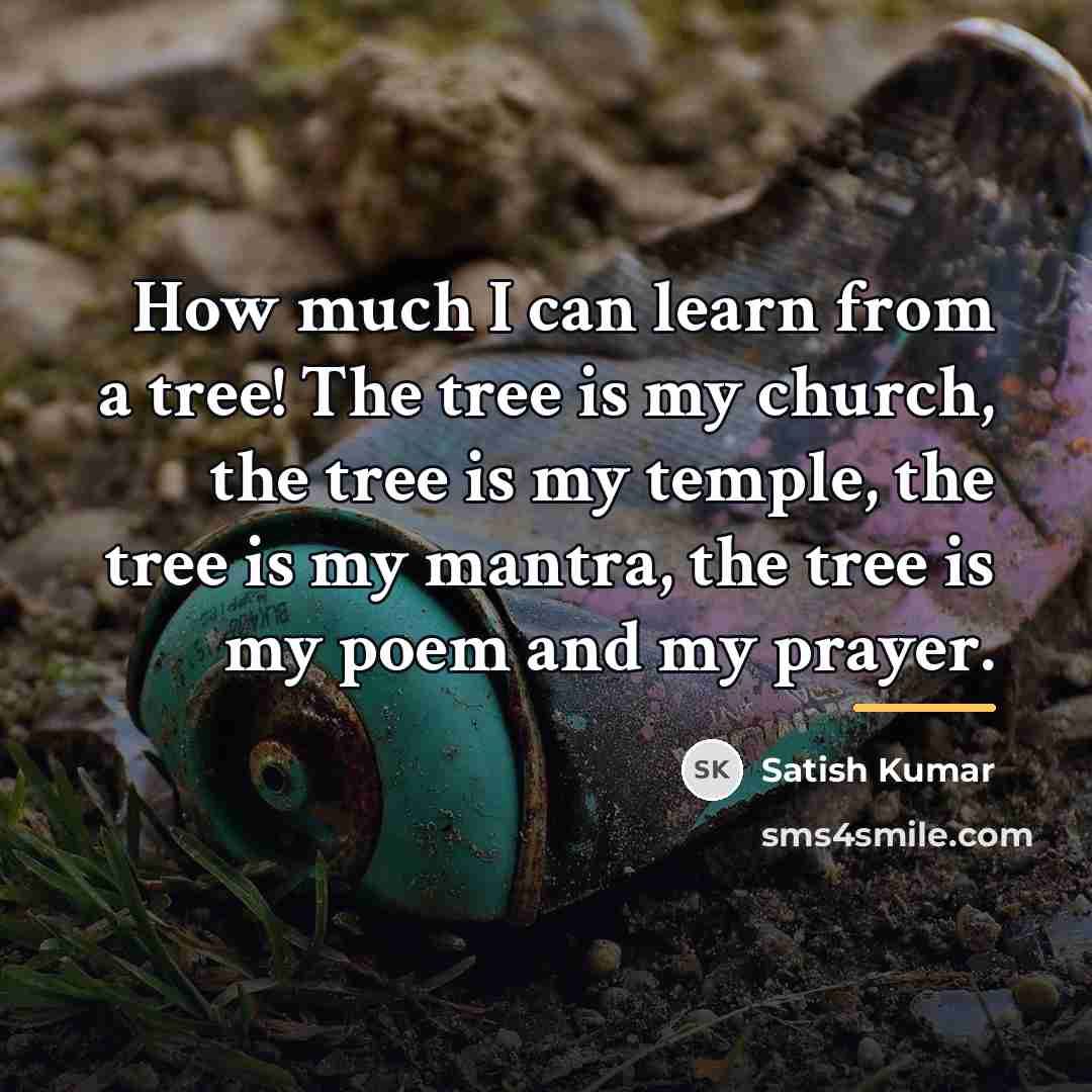 “How much I can learn from a tree! The tree…” quote by Satish Kumar