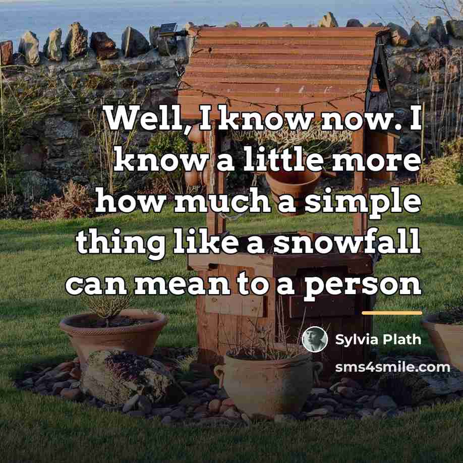 “Well, I know now. I know a little more how…” quote by Sylvia Plath