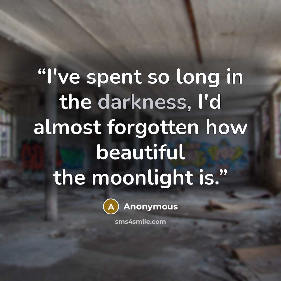 “I've spent so long in the darkness, I'd almost forgotten how beautiful the moonlight is.” quote by Anonymous