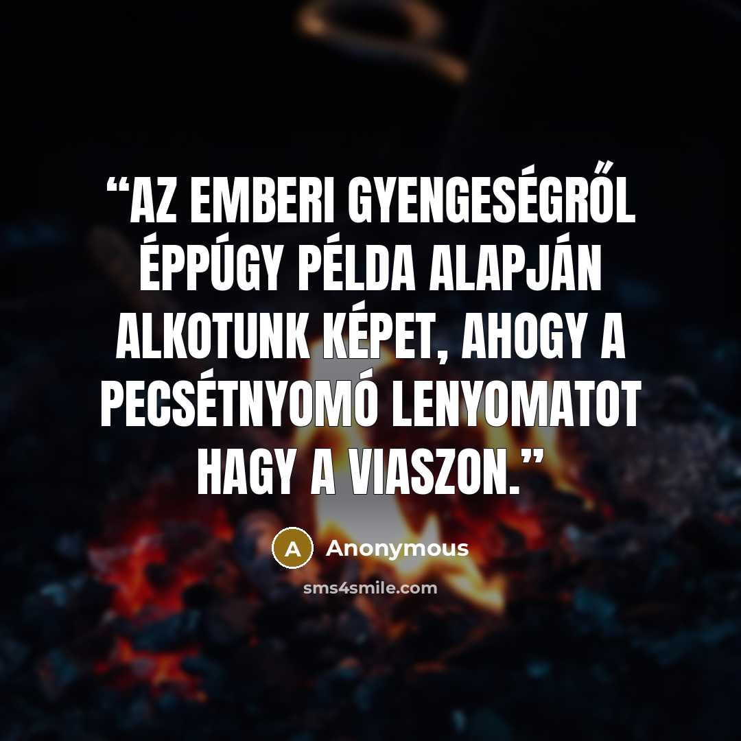 “Az emberi gyengeségről éppúgy példa alapján alkotunk képet, ahogy a pecsétnyomó lenyomatot hagy a viaszon.” quote by Anonymous
