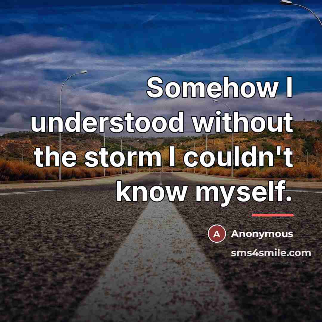 “Somehow I understood without the storm I couldn't know myself.…” quote by Anonymous