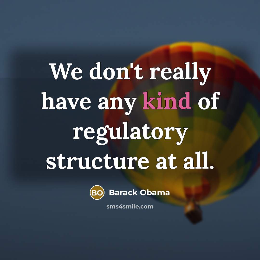“We don't really have any kind of regulatory structure at…” quote by Barack Obama