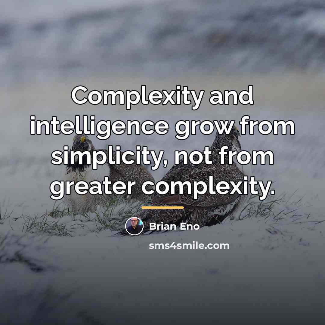 “Complexity and intelligence grow from simplicity, not from greater complexity.…” quote by Brian Eno