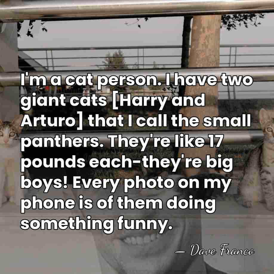 I'm a cat person. I have two giant cats [Harry and Arturo]&hellip; - Dave Franco