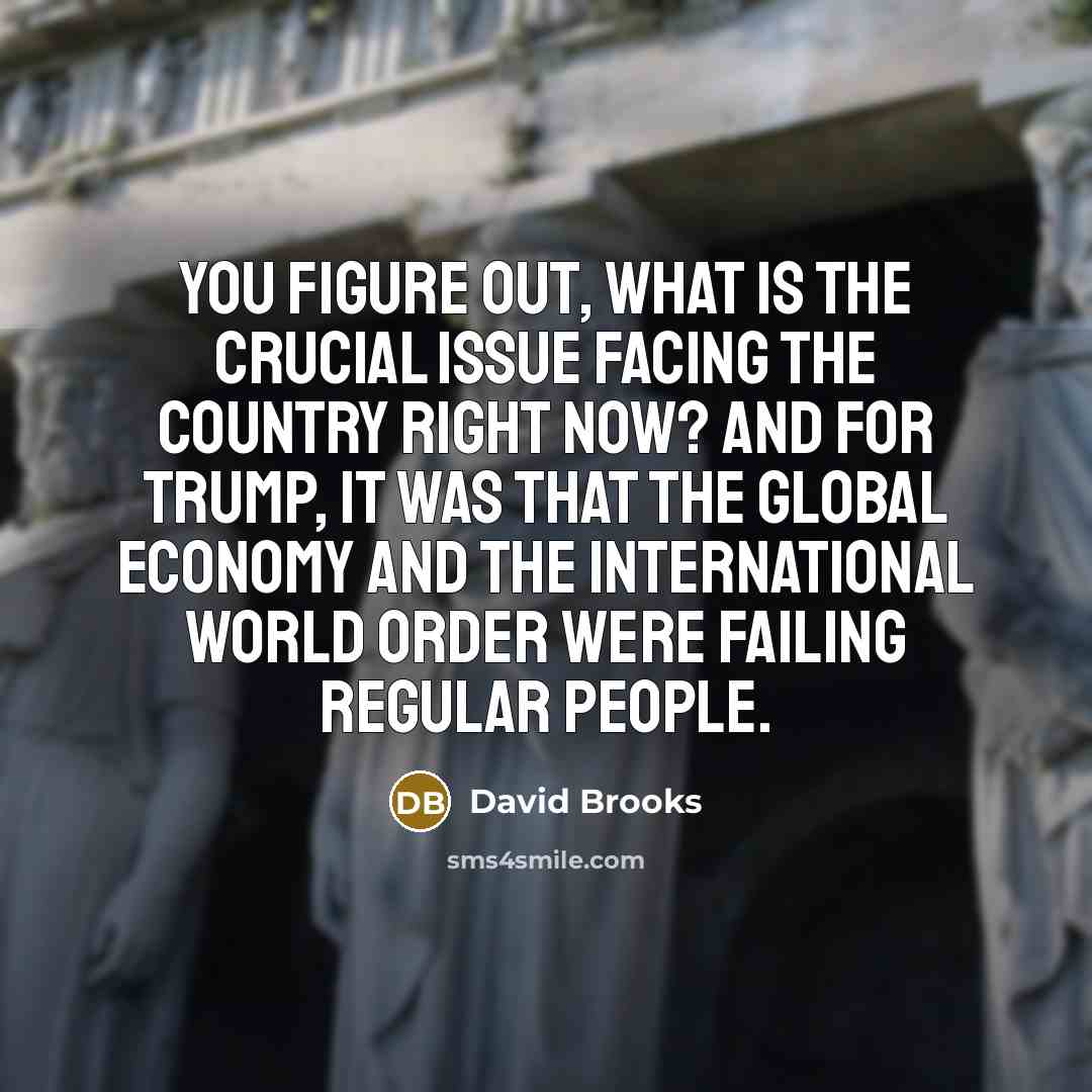 “You figure out, what is the crucial issue facing the…” quote by David Brooks