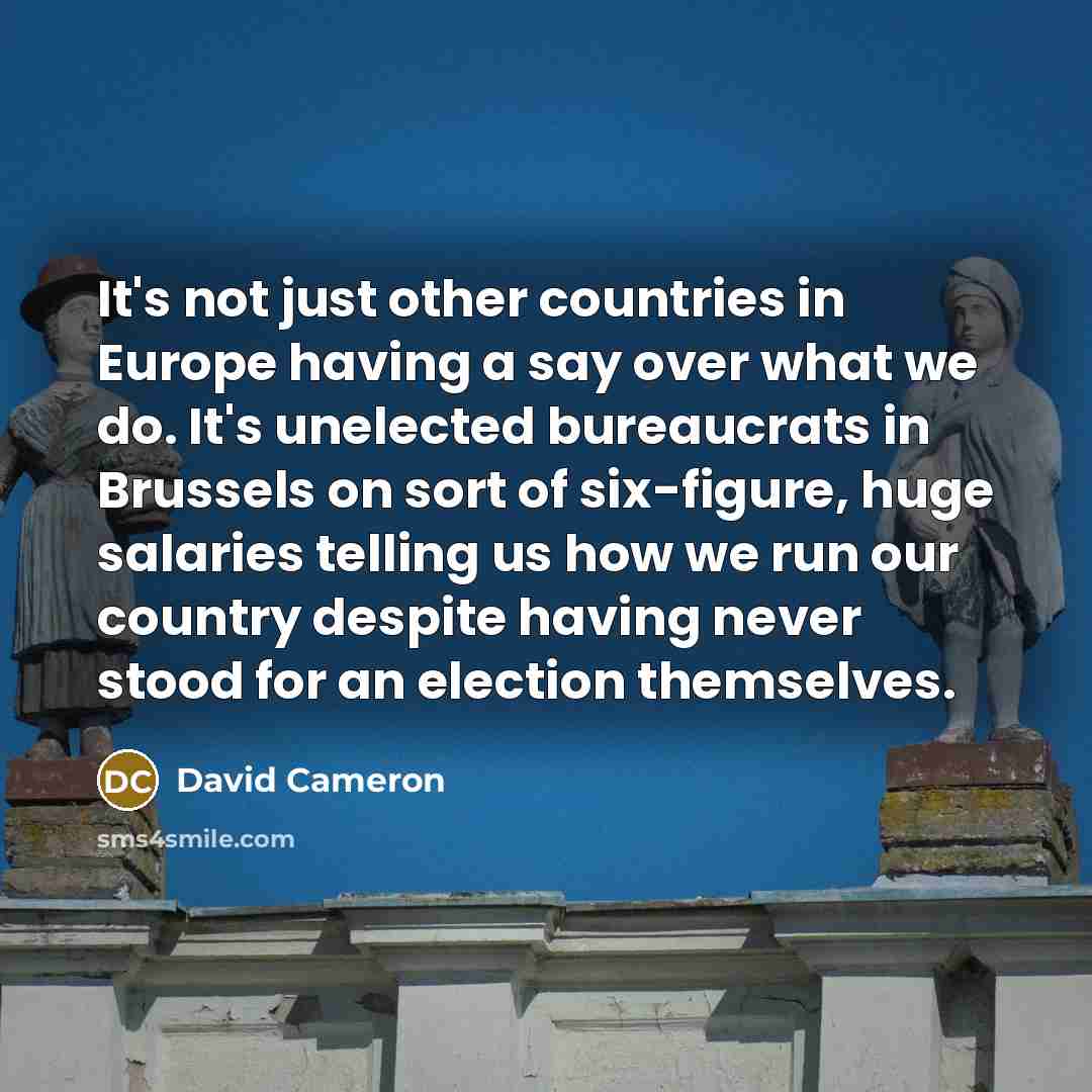 “It's not just other countries in Europe having a say…” quote by David Cameron