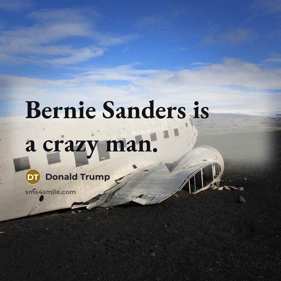 “Bernie Sanders is a crazy man.” quote by Donald Trump
