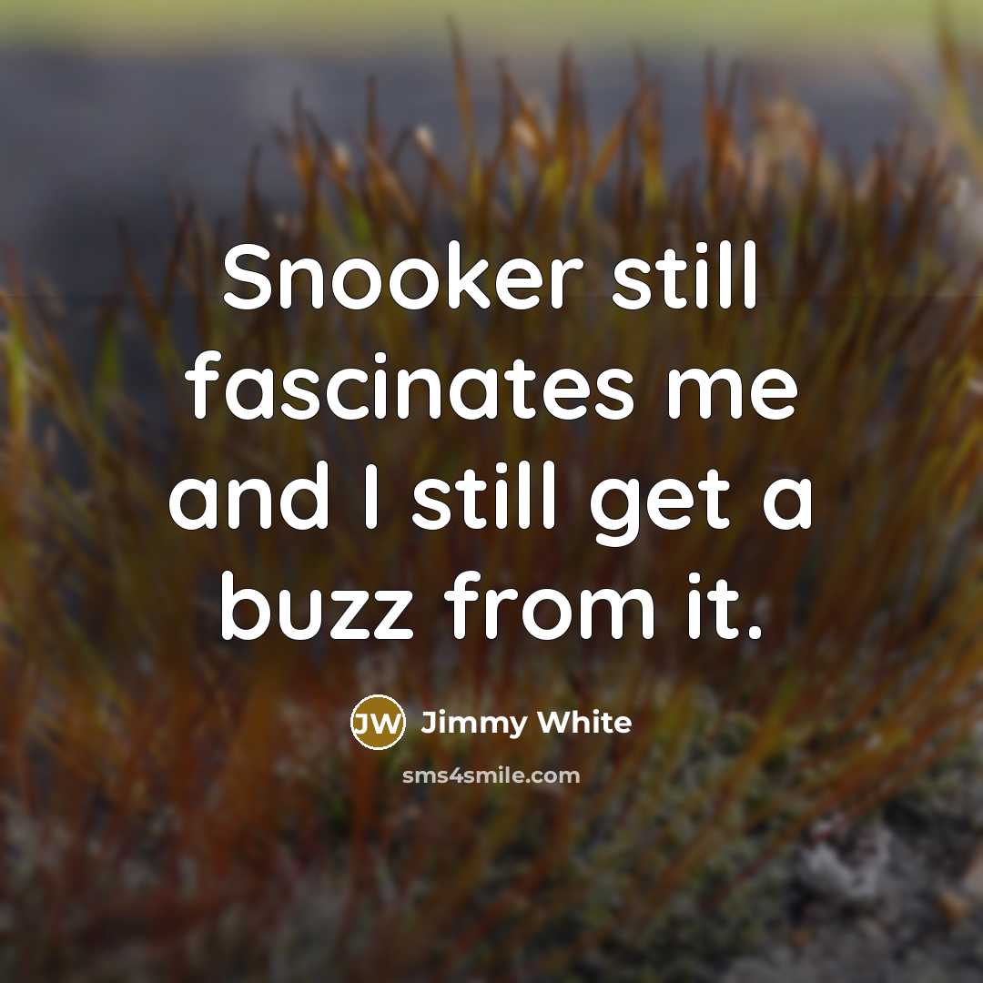 “Snooker still fascinates me and I still get a buzz…” quote by Jimmy White