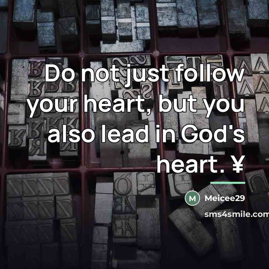 “Do not just follow your heart, but you also lead…” quote by Meicee29