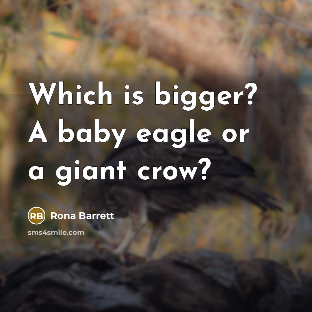 “Which is bigger? A baby eagle or a giant crow?…” quote by Rona Barrett