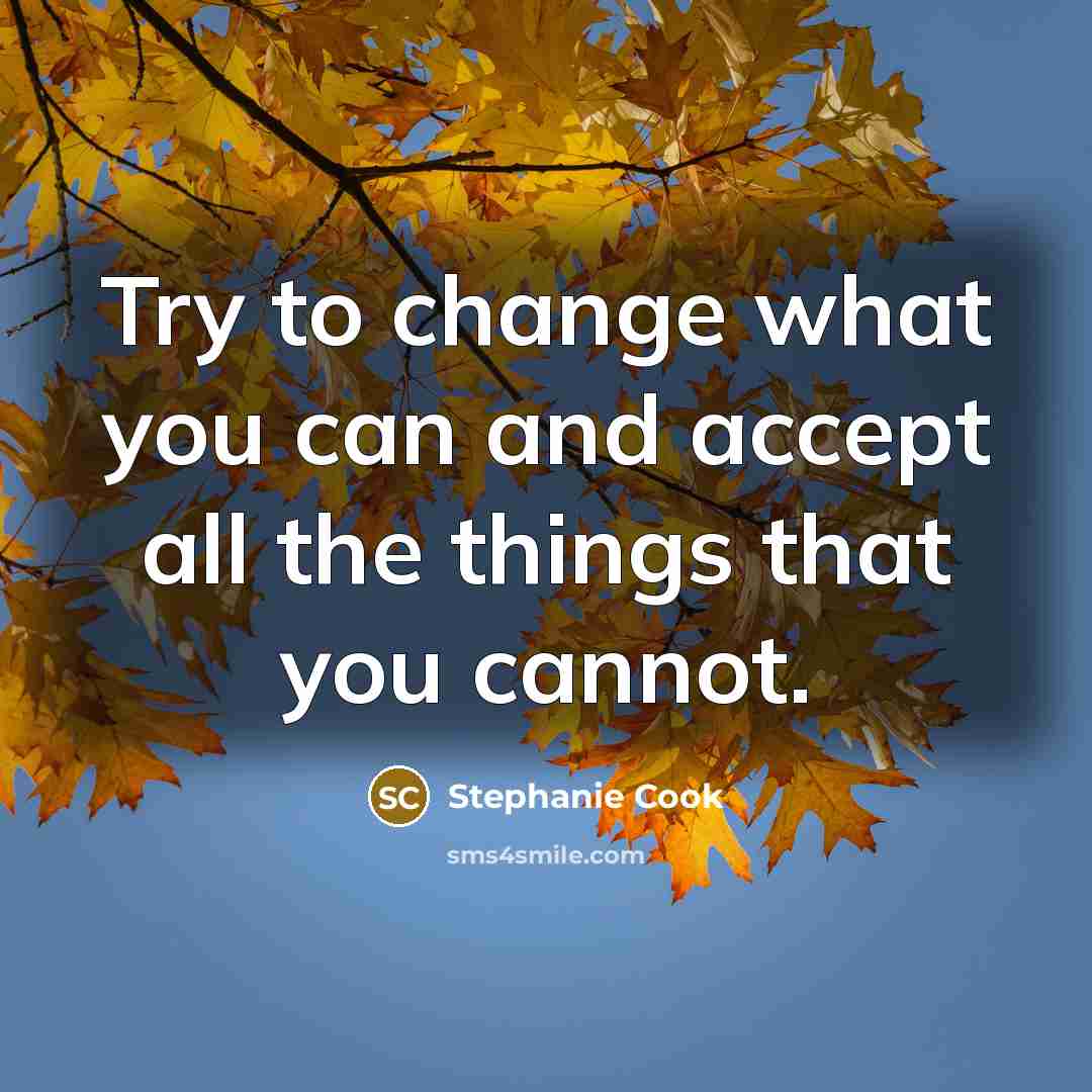 “Try to change what you can and accept all the…” quote by Stephanie Cook