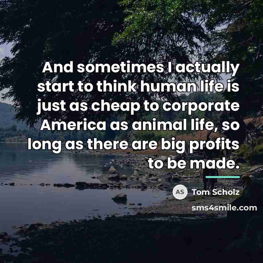 “And sometimes I actually start to think human life is…” quote by Tom Scholz