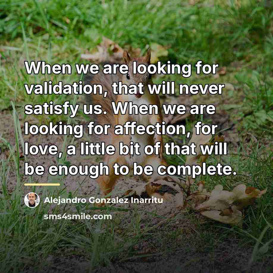 “When we are looking for validation, that will never satisfy…” quote by Alejandro Gonzalez Inarritu