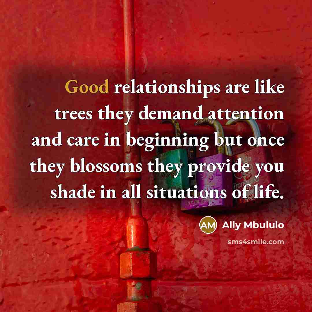 “Good relationships are like trees they demand attention and care in beginning but once they blossoms they provide you shade in all situations of life.” quote by Ally Mbululo