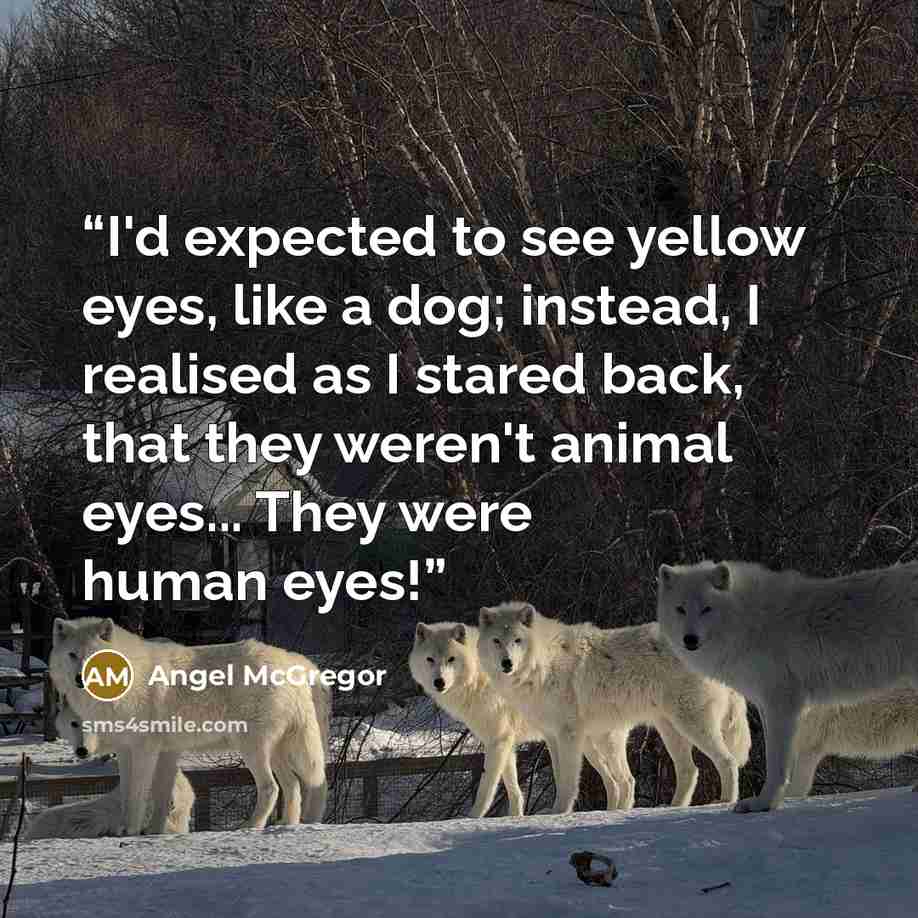 “I'd expected to see yellow eyes, like a dog; instead, I realised as I stared back, that they weren't animal eyes... They were human eyes!” quote by Angel McGregor