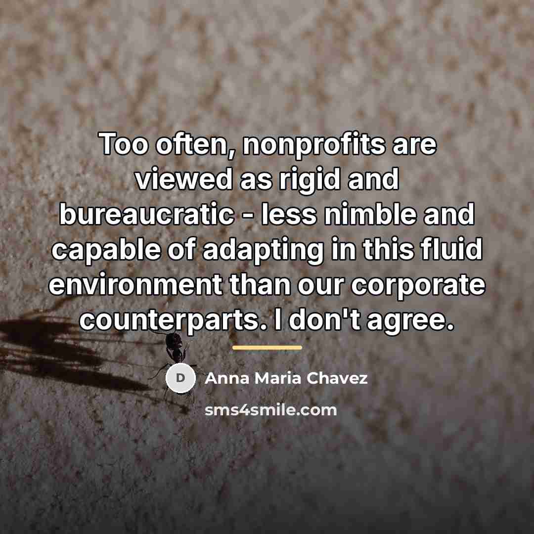 “Too often, nonprofits are viewed as rigid and bureaucratic -…” quote by Anna Maria Chavez