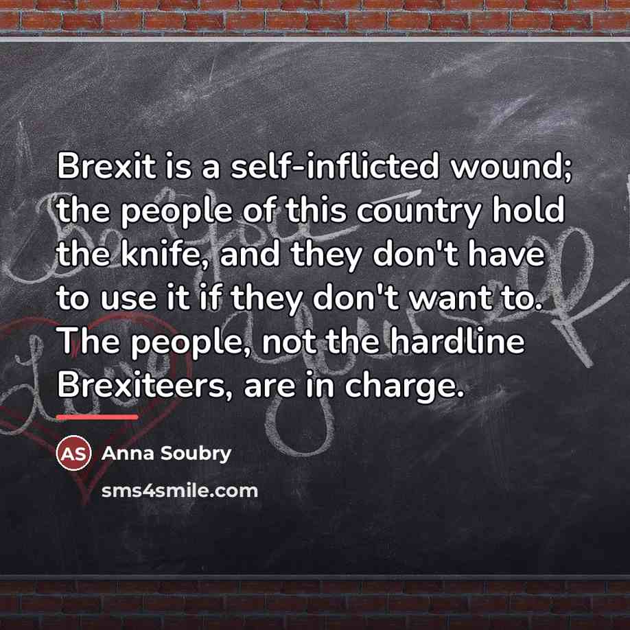 “Brexit is a self-inflicted wound; the people of this country…” quote by Anna Soubry