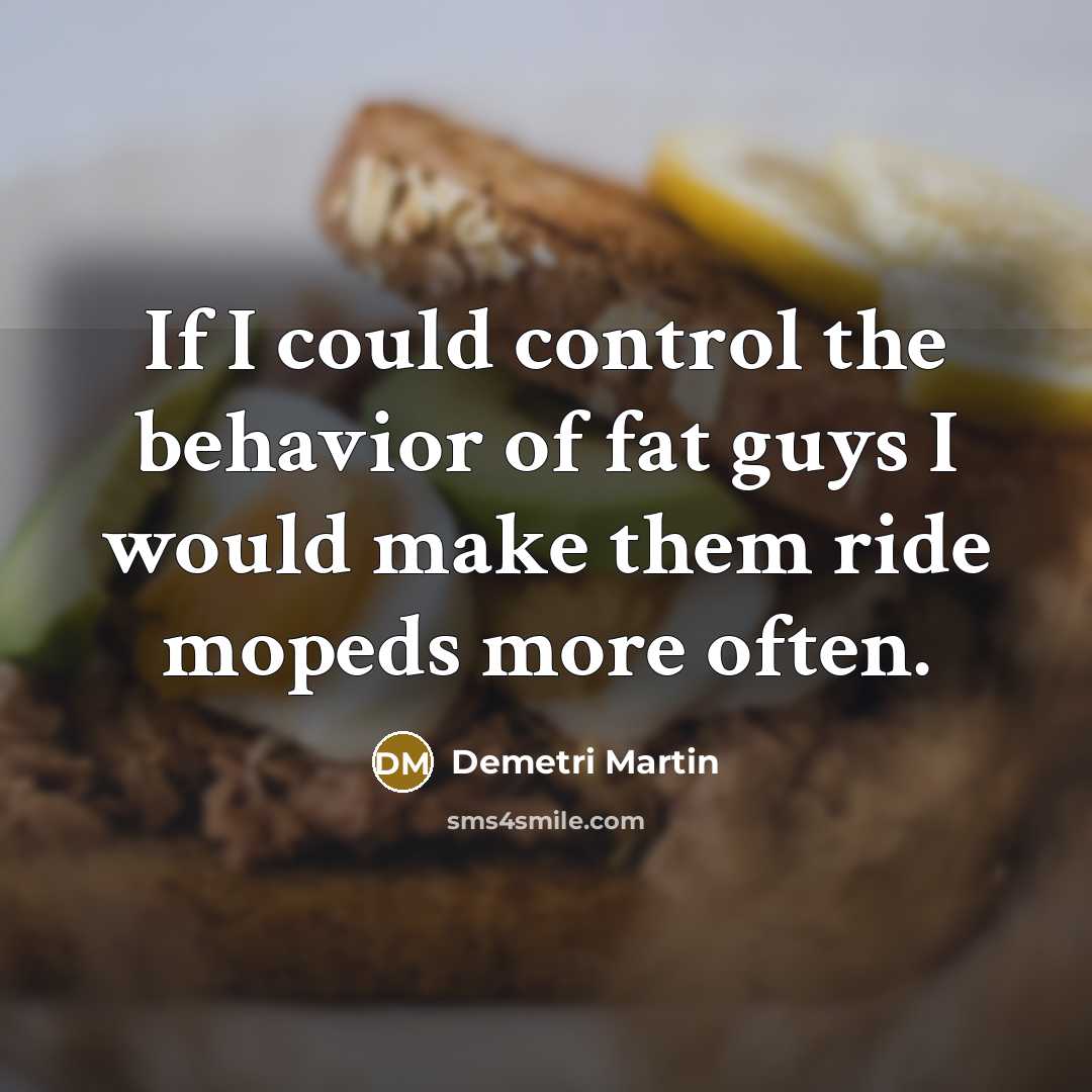 “If I could control the behavior of fat guys I…” quote by Demetri Martin