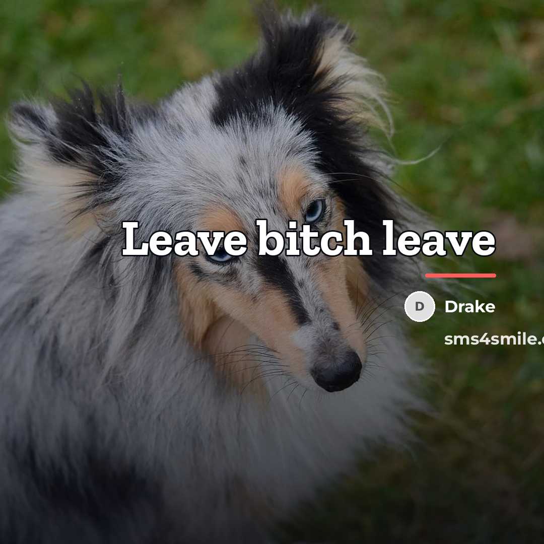 “Leave bitch leave…” quote by Drake
