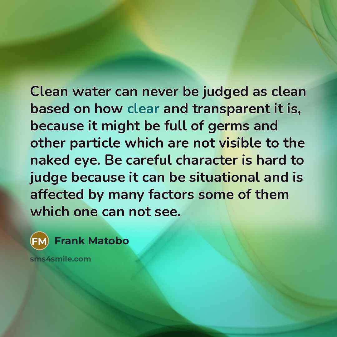 “Clean water can never be judged as clean based on…” quote by Frank Matobo