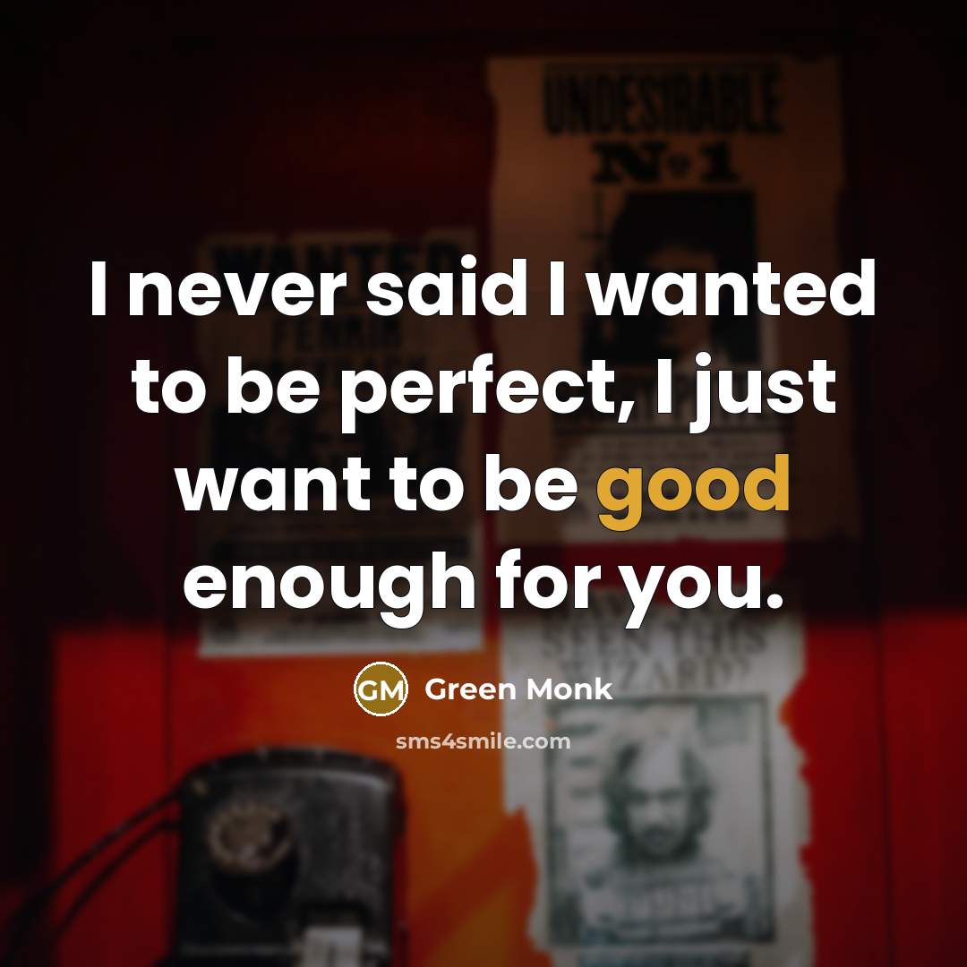 “I never said I wanted to be perfect, I just…” quote by Green Monk