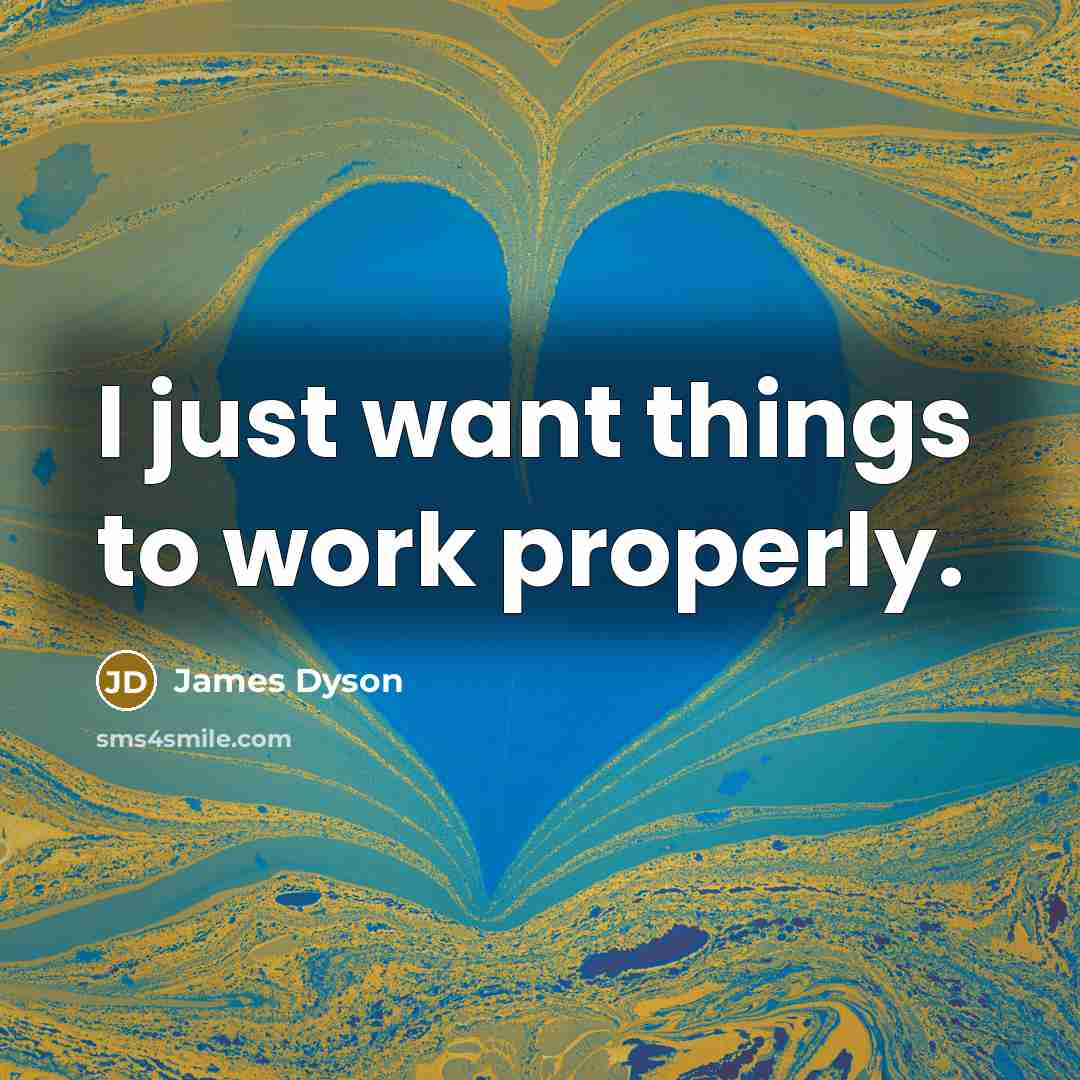“I just want things to work properly.…” quote by James Dyson