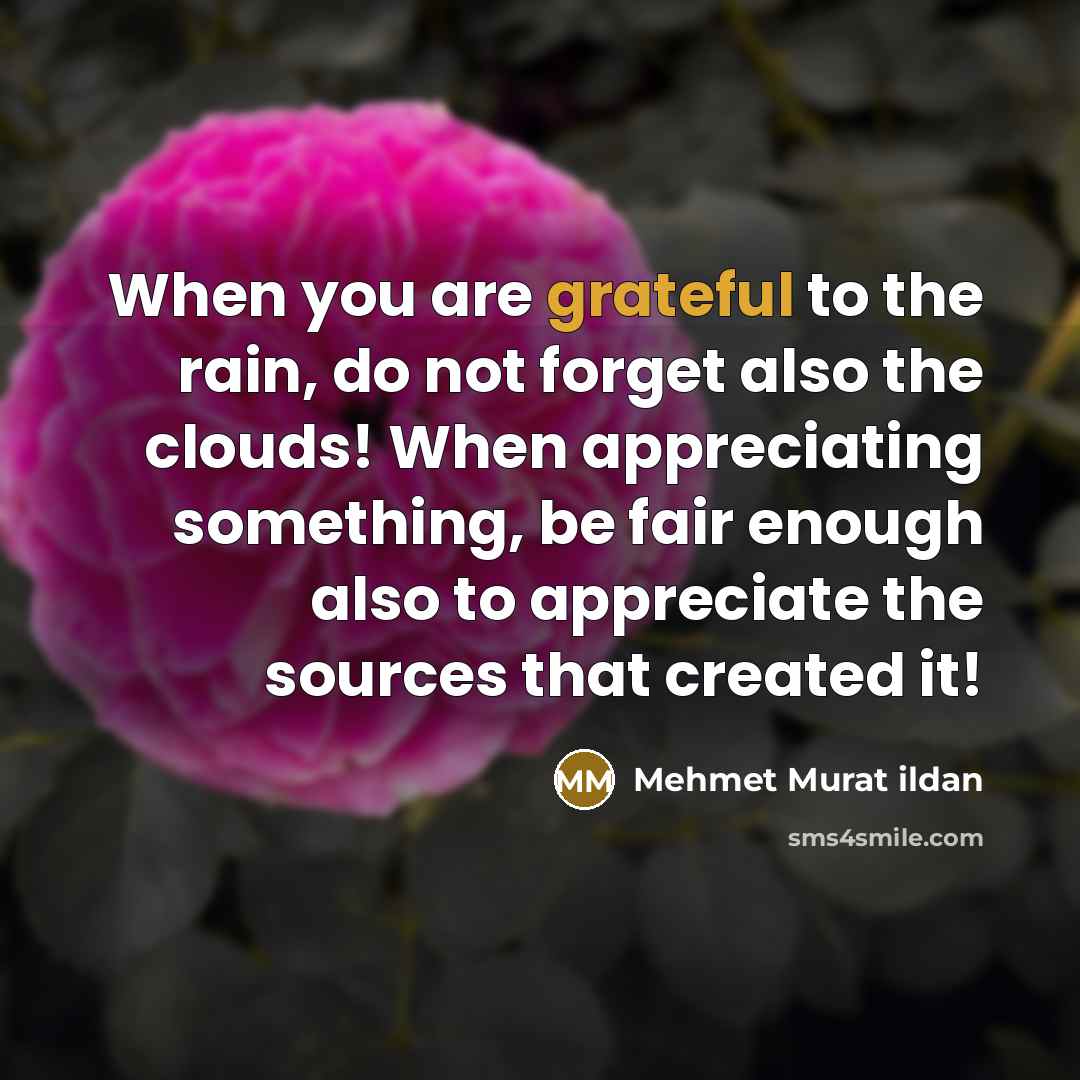 “When you are grateful to the rain, do not forget…” quote by Mehmet Murat Ildan