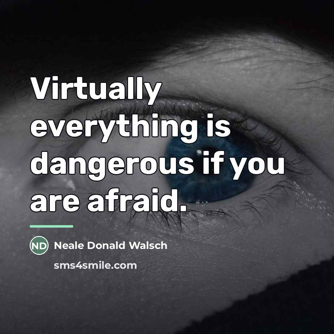 “Virtually everything is dangerous if you are afraid.…” quote by Neale Donald Walsch