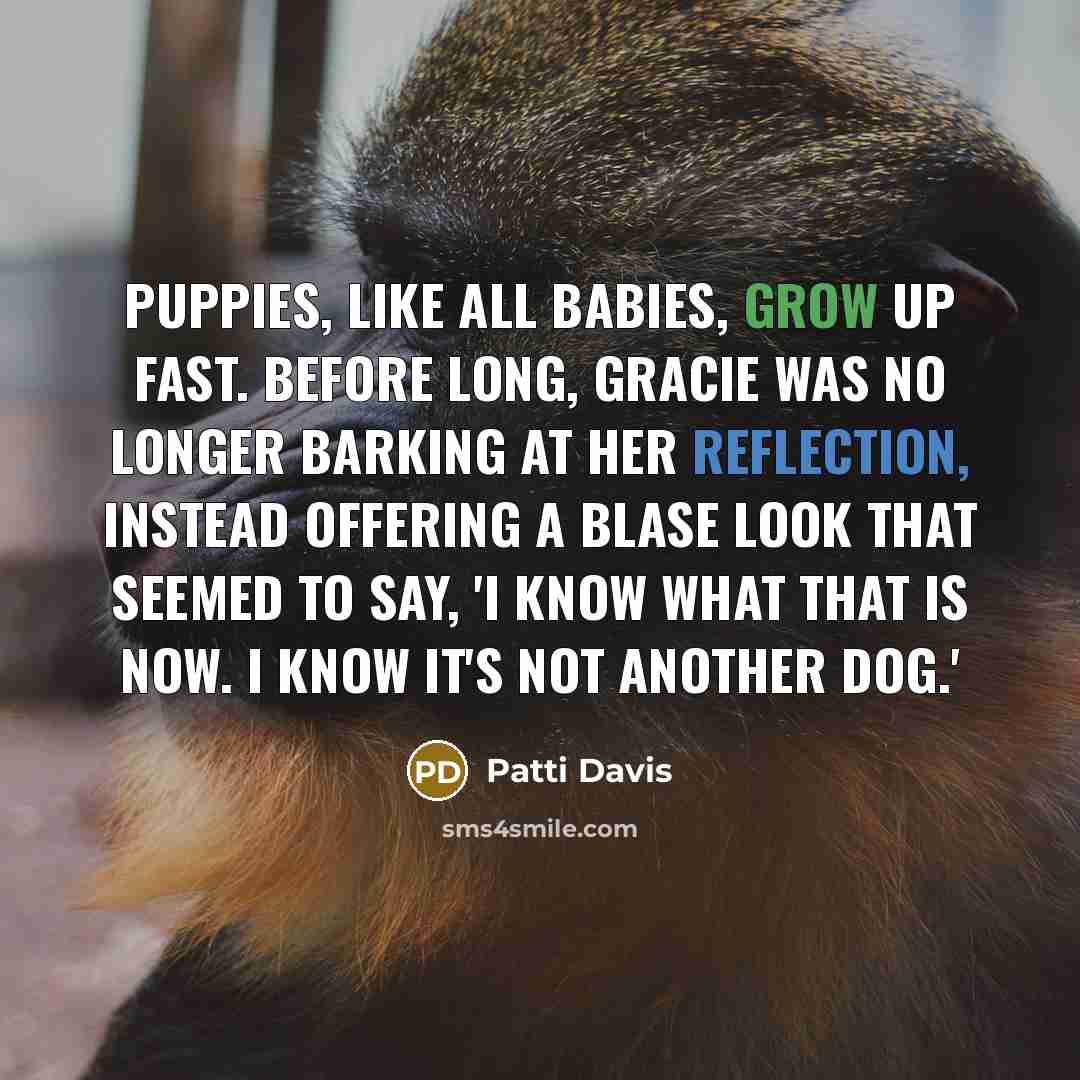 “Puppies, like all babies, grow up fast. Before long, Gracie was no longer barking at her reflection, instead offering a blase look that seemed to say, 'I know what that is now. I know it's not another dog.'” quote by Patti Davis