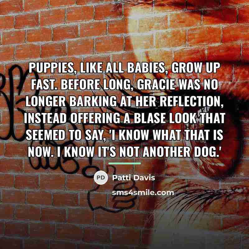 “Puppies, like all babies, grow up fast. Before long, Gracie…” quote by Patti Davis