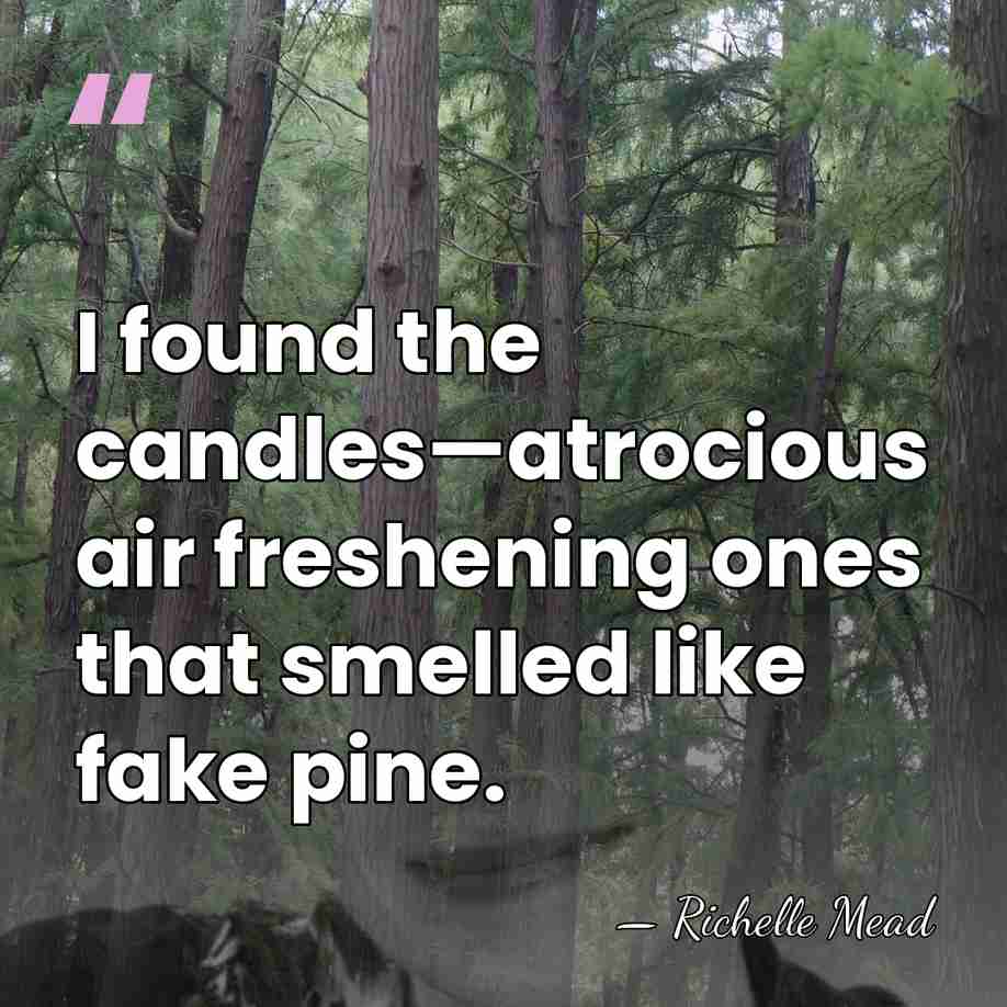 I found the candles—atrocious air freshening ones that smelled like fake pine. - Richelle Mead