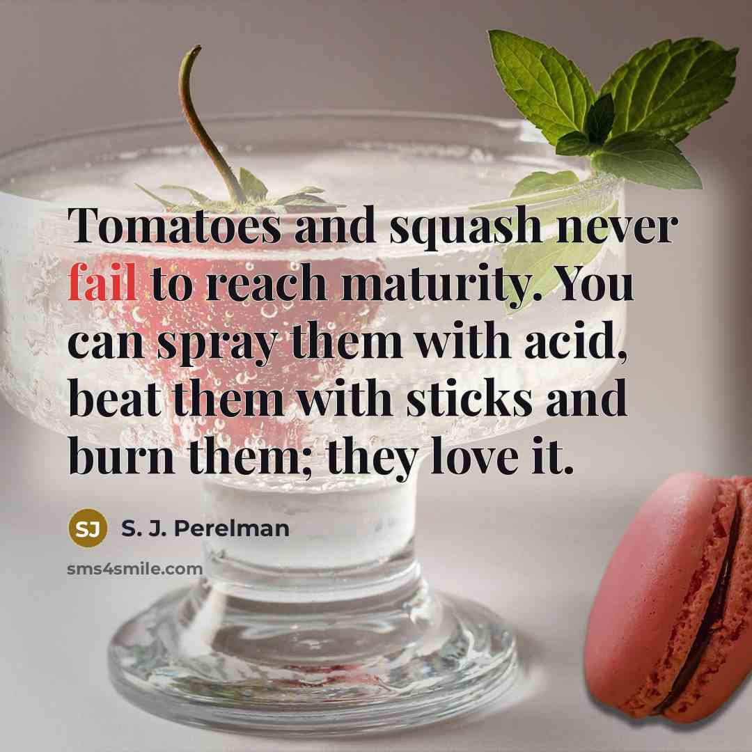 “Tomatoes and squash never fail to reach maturity. You can…” quote by S. J. Perelman